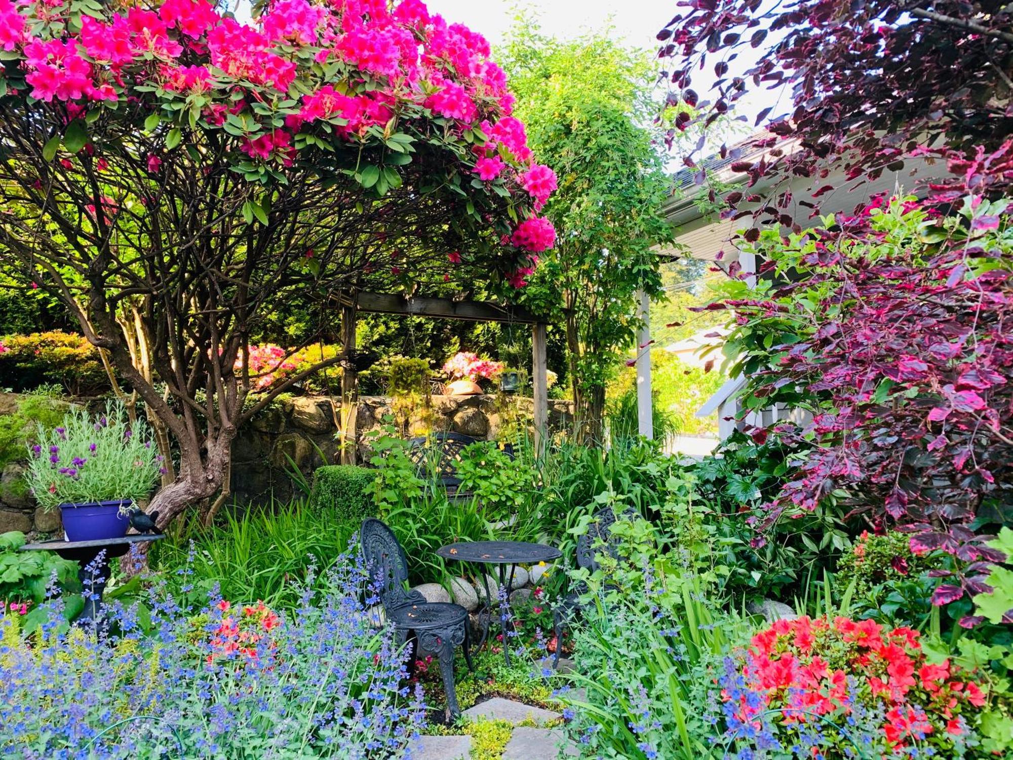 Crystal'S View Bed & Breakfast North Vancouver Dış mekan fotoğraf